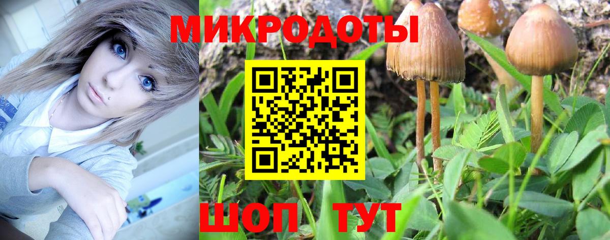 Псилоцибиновые грибы GOLDEN TEACHER  как найти закладки  Дзержинск  Галлюциногенные грибы MAGIC MUSHROOMS  Вход с VPN 